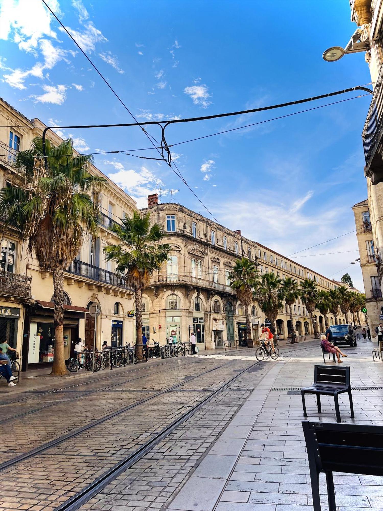 Cosy Suite - Elegance & Calme En Hyper-Centre Montpellier Exterior photo